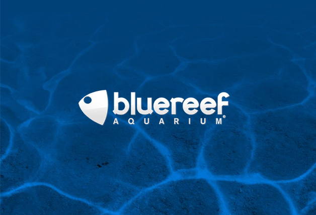 Kids Go Free at Blue Reef Aquarium with Kids Pass