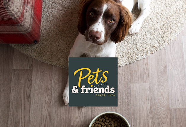 Save 35% Off Selected Clearance Orders with Pets and Friends Discount