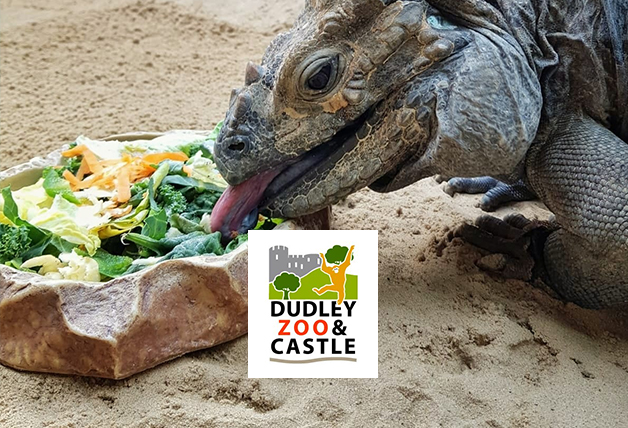 Save Up to 33% off Tickets with Kids Pass | Dudley Zoological Gardens Voucher