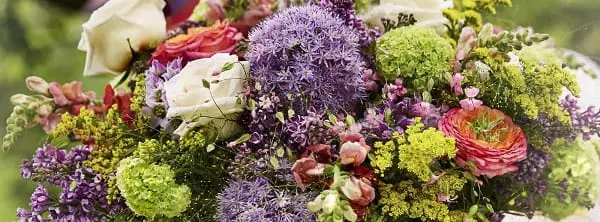 teleflorist discount code