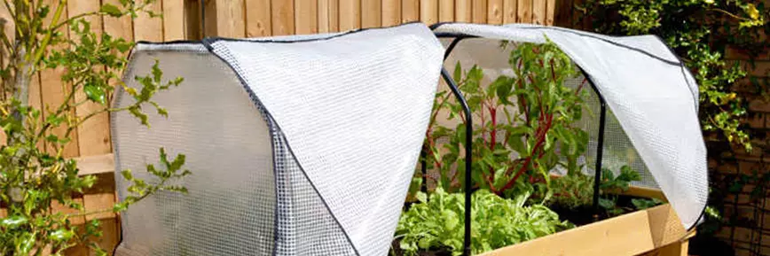 20% Off Your £100 Spend with this Suttons Seeds Discount Code