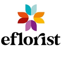 eFlorist - Logo