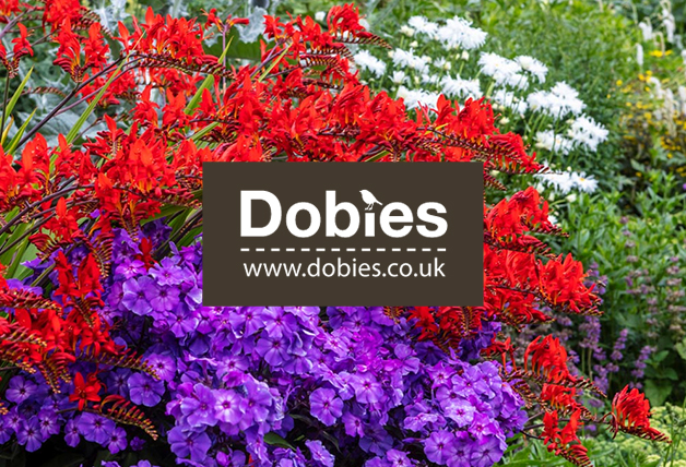 £20 Off Orders Over £100 at Dobies