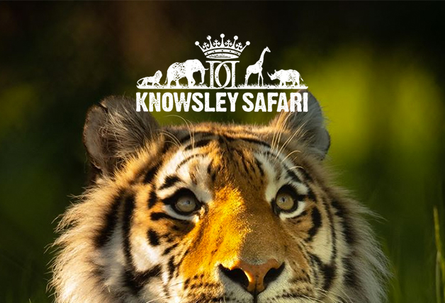 Knowsley Safari Park Promo: Kids Go Free This Half Term