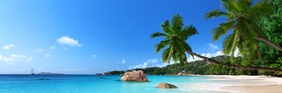 25% Off (Or More!) + Extra 8% Off w/ Exclusive Expedia Code