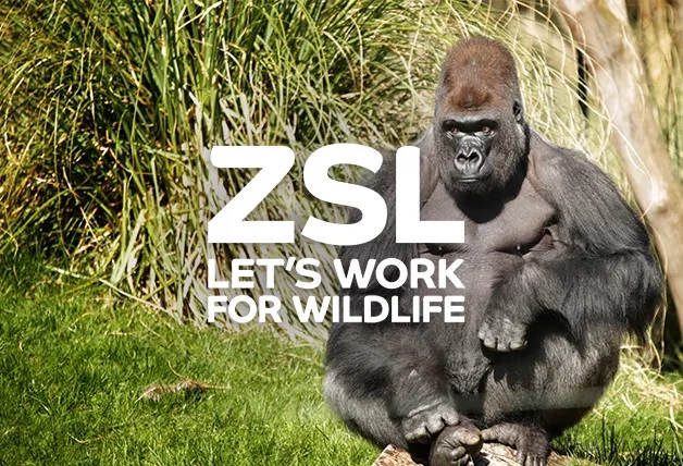 Save 20% on Membership with Direct Debit Payments | Whipsnade Zoo Promo Code