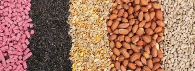 garden wildlife seeds