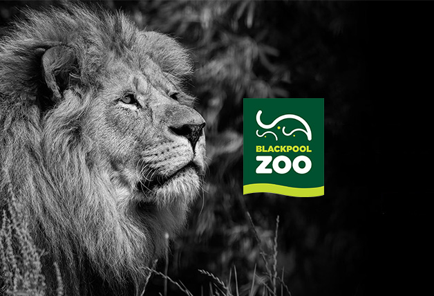 Save 20% Off Residents Discount with this Blackpool Zoo Voucher