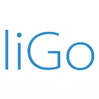 Ligo Electronics - Logo