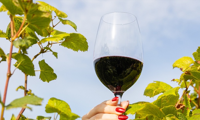 $12 Off the Jumbo Reds 30-bottle Bulk Deal at Virgin Wines