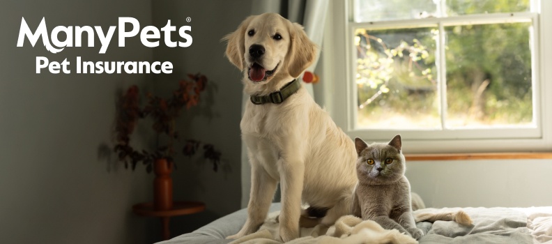 ManyPets insurance