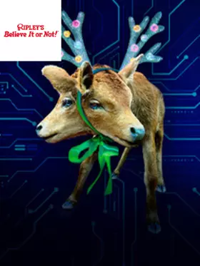 Ripley's Believe It or Not - Deal