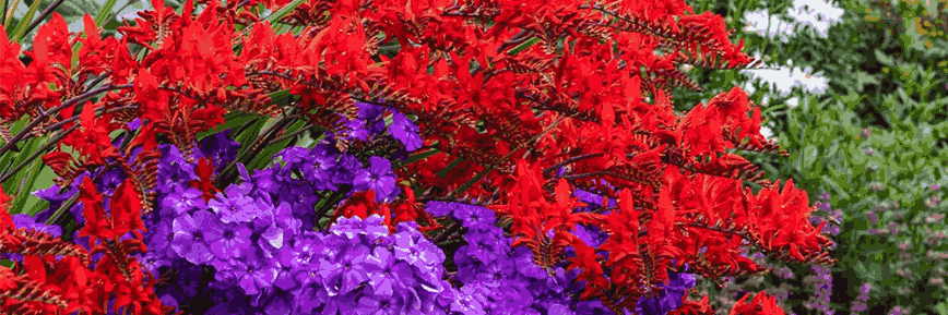 £20 Discount on Orders Over £100 at Dobies