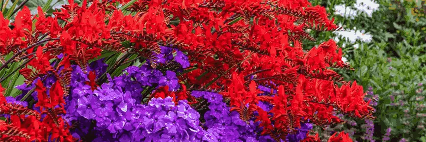 £20 Discount on Orders Over £100 at Dobies