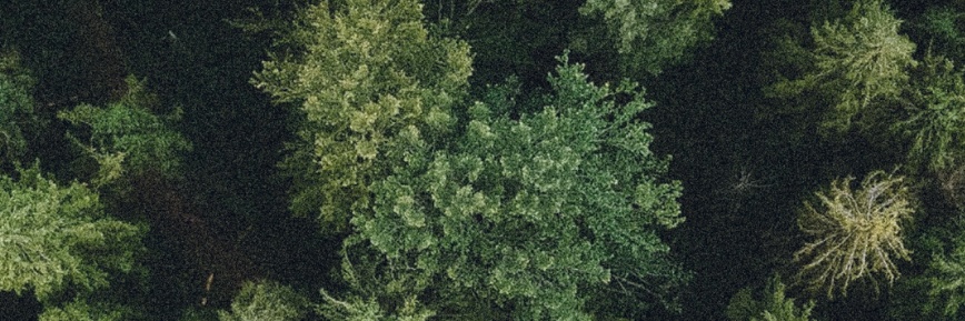 GreenFi - Great Deal