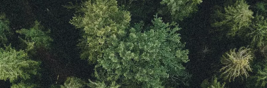 GreenFi - Great Deal