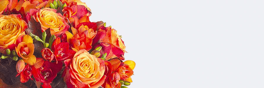 Save 15% on All Orders | Bunches Discount Code