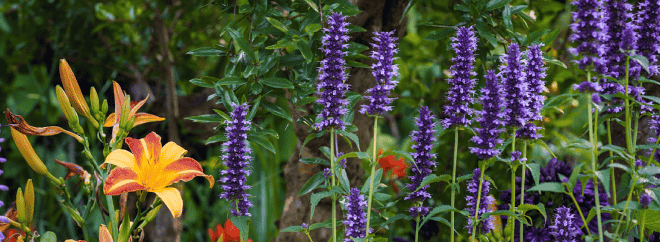 J Parkers Promo Code