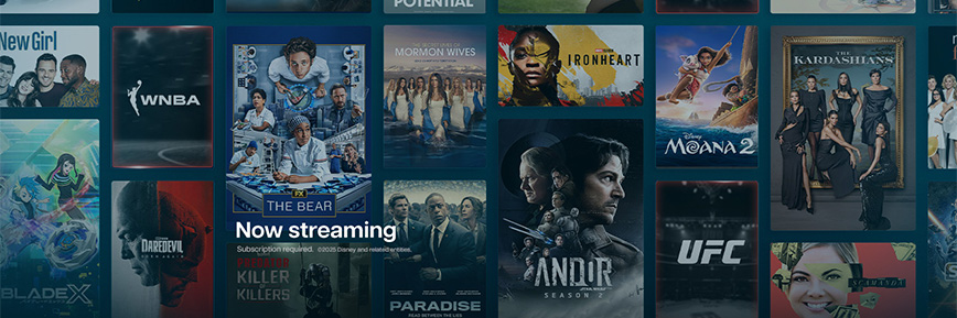 Get FREE 2 Monthss with an Annual Subscription at Disney Plus