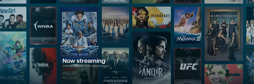 2 Months Free with an Annual Subscription at Disney Plus