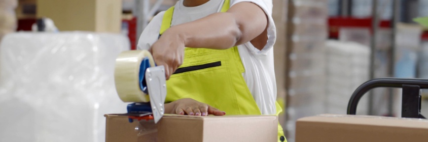 Zoro - Groupon Exclusive