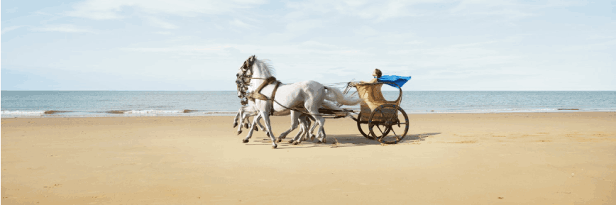 Free £45 Gift Card with Orders Over £340 at Haven Holidays