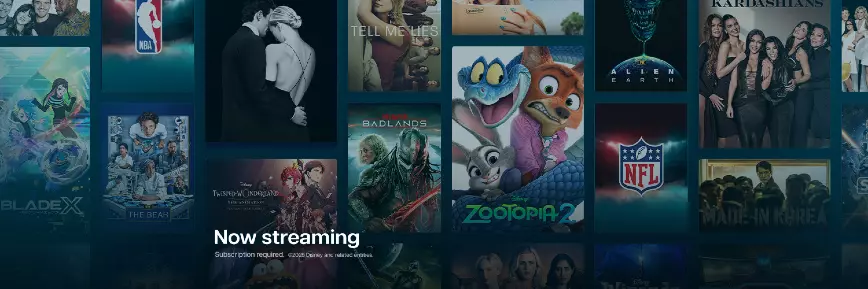 Watch for a Year, Pay for 10 Months - Get Disney+ Subscription