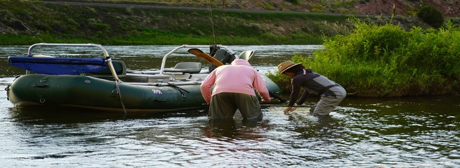 AvidMax Coupon Codes