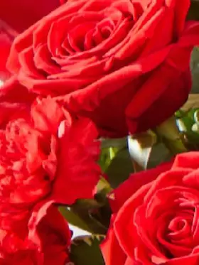 From You Flowers - 20% Off