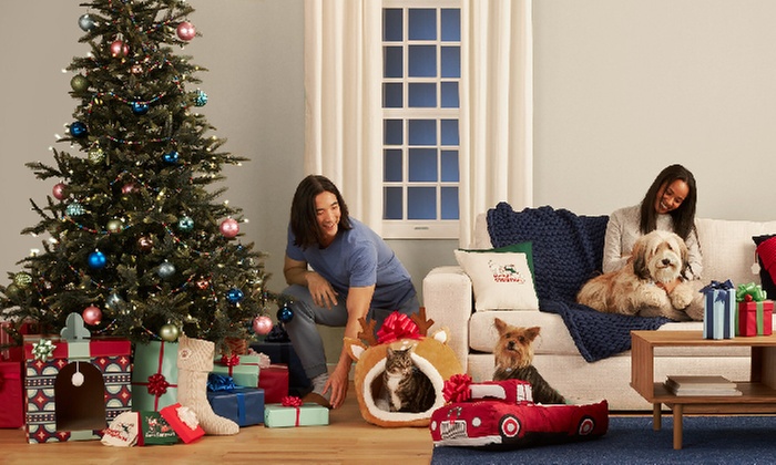 Sitewide Coupon: Save 10% on $50+ Orders & 20% on $80+