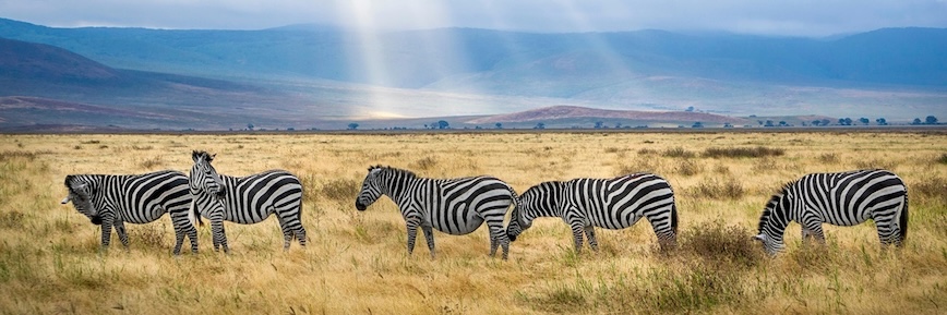 -250€ sur votre voyage avec Tourlane grâce à ce Code Promo Exclusif