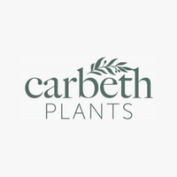 Carbeth Plants - Logo