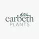 Carbeth Plants - Great Deal
