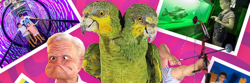 Ripley's Believe It or Not - 20% Off