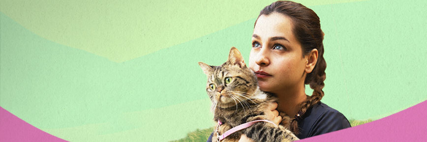 Stream Football Cups at starzplay