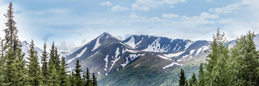 Expedia - 25% Off Or More!