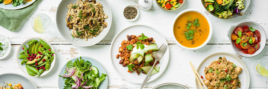 50% Off Weight Loss Plan Purchases at Jane Plan