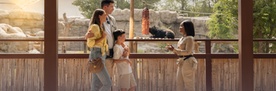 Dubai Safari Park - Don't Miss