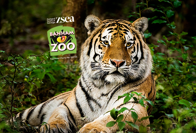 Up to 22% Off Banham Zoo with a £1 Kids Pass Trial | Banham Zoo Discount