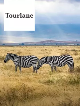 Tourlane - 250€ de réduction