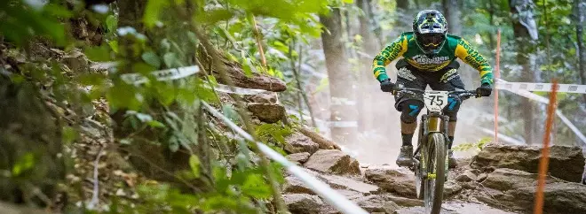 Chain Reaction Cycles