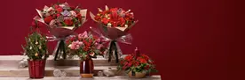 Interflora - 15% Off