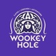 Wookey Hole Vouchers March 2025