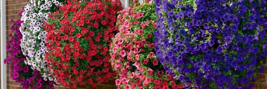 Get10% Off All Orders at YouGarden