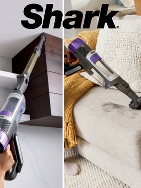 Shark - Back To School