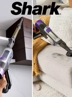 Shark - Back To School