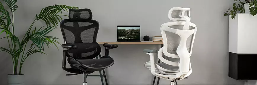 Sihoo coupon di 10€ con la newsletter