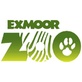 Exmoor Zoo Discount Codes & Offers March 2025