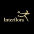 Interflora - €10 Gift Card