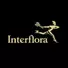 Interflora - Savings